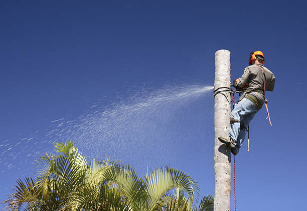 Soil Testing and Treatment in Salem, NJ
